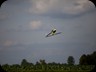 IMG_0428