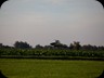 IMG_0442