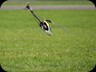 IMG_0155